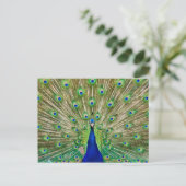 Peacock-Briefkaart Briefkaart (Staand voorkant)