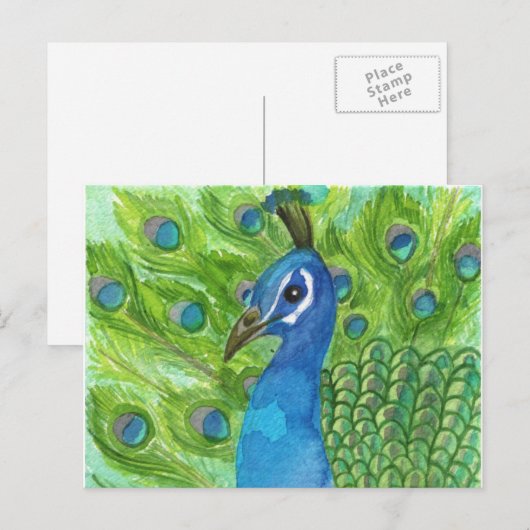 Peacock-Briefkaart Briefkaart (Voorkant / Achterkant)