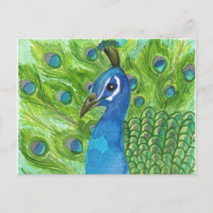 Peacock-Briefkaart Briefkaart