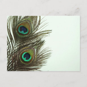 Peacock-Briefkaart Briefkaart