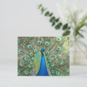 Peacock-Briefkaart Briefkaart (Staand voorkant)