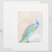 Peacock briefpapier (Voorkant / Achterkant)