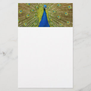 Peacock Briefpapier