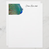 Peacock Briefpapier Briefhoofd (Voorkant / Achterkant)