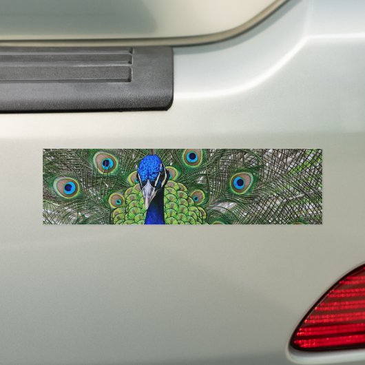 Peacock Bumpersticker (Op auto)
