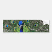 Peacock Bumpersticker (Voorkant)