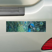 Peacock, bumpersticker (Op auto)