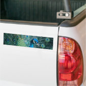 Peacock, bumpersticker (Op Truck)