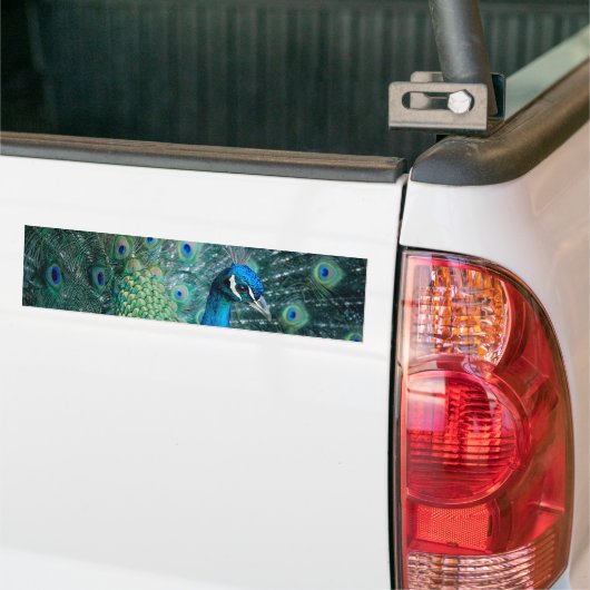 Peacock, bumpersticker (Op Truck)