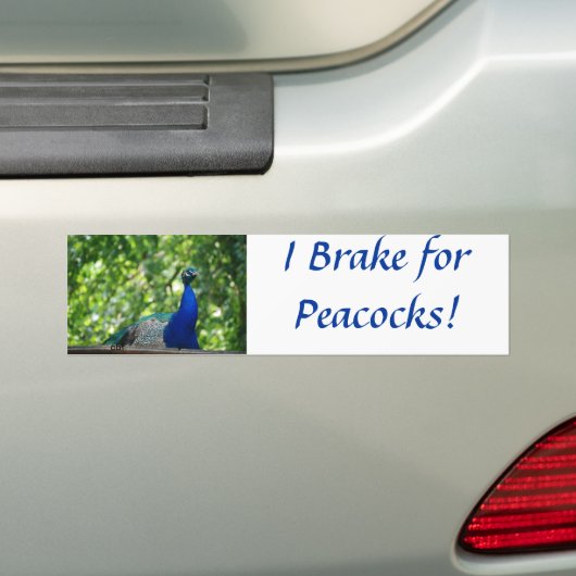 Peacock Bumpersticker (Op auto)