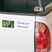 Peacock Bumpersticker (Op Truck)
