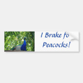 Peacock Bumpersticker (Voorkant)