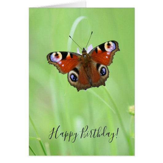 Peacock Butterfly (Voorkant)