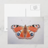 Peacock Butterfly 2012 Briefkaart (Voorkant / Achterkant)