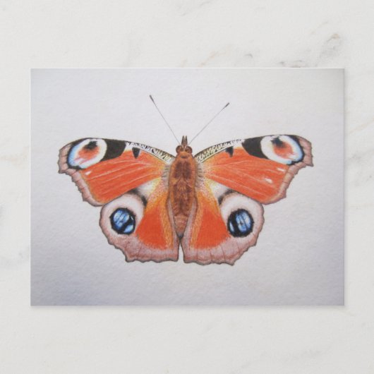 Peacock Butterfly 2012 Briefkaart (Voorkant)