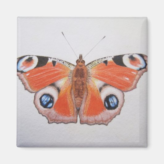 Peacock Butterfly 2012 Magneet (Voorkant)