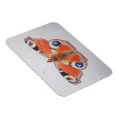 Peacock Butterfly 2012 Magneet (Rechterzijde)