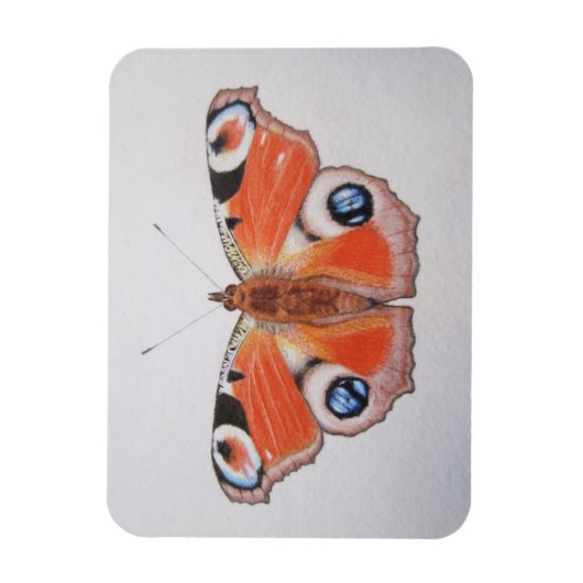 Peacock Butterfly 2012 Magneet (Verticaal)