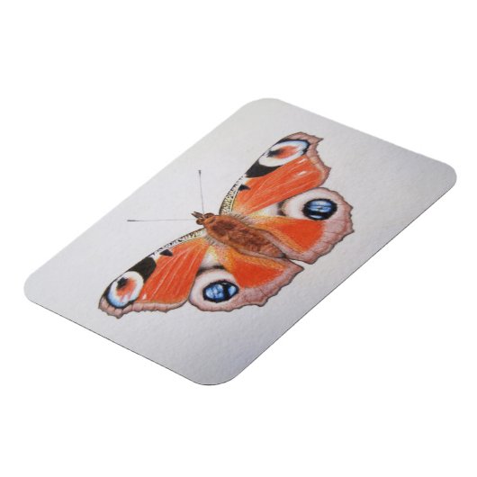 Peacock Butterfly 2012 Magneet (Linkerzijde)