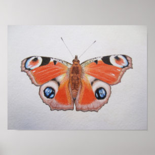 Peacock Butterfly 2012 Poster
