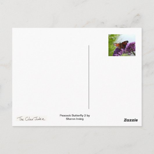 Peacock Butterfly 2 Briefkaart (Achterkant)