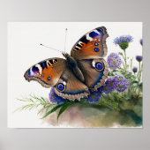 Peacock Butterfly Art Print Poster (Voorkant)