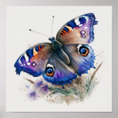 Peacock Butterfly Art Print Poster (Voorkant)