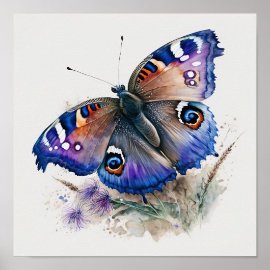 Peacock Butterfly Art Print Poster (Voorkant)