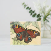 Peacock Butterfly Briefkaart (Staand voorkant)