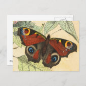 Peacock Butterfly Briefkaart (Voorkant / Achterkant)