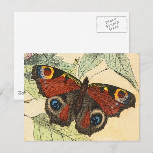 Peacock Butterfly Briefkaart (Voorkant / Achterkant)