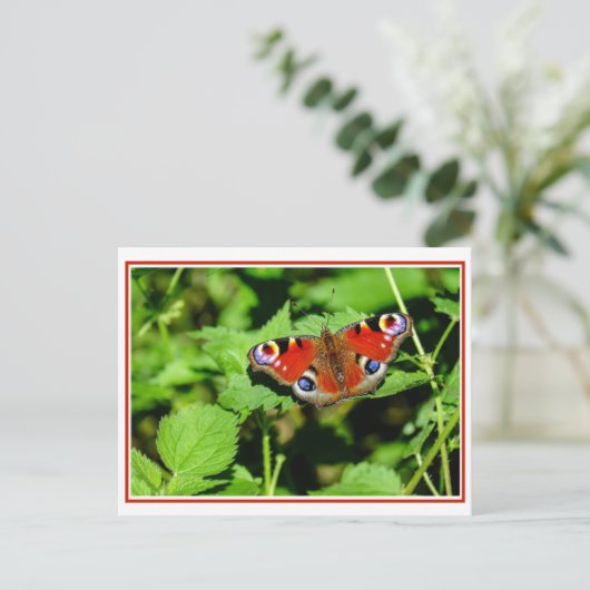 Peacock Butterfly Briefkaart (Staand voorkant)
