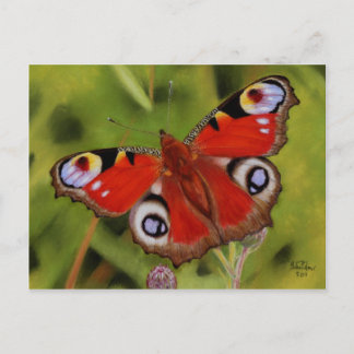 PEACOCK BUTTERFLY BRIEFKAART
