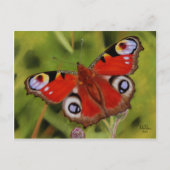 PEACOCK BUTTERFLY BRIEFKAART (Voorkant)