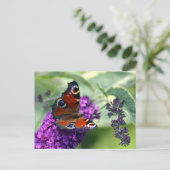 Peacock Butterfly (Inachis io) Briefkaart (Staand voorkant)