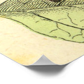 Peacock Butterfly -  kunstPoster Poster (Hoek)