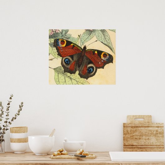 Peacock Butterfly -  kunstPoster Poster (Keuken)