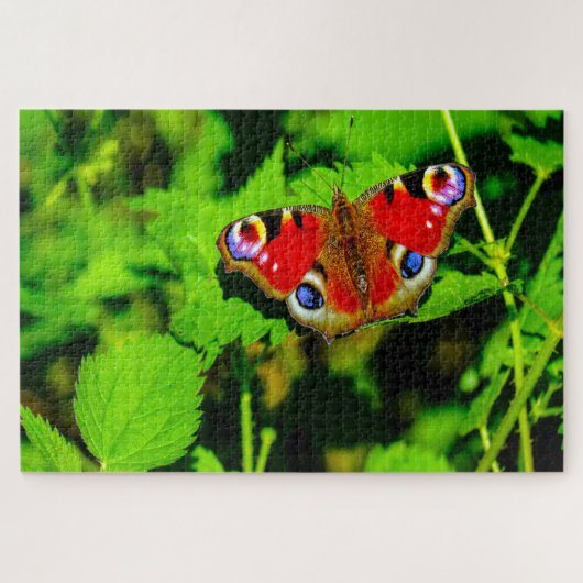 Peacock Butterfly. Legpuzzel (Horizontaal)