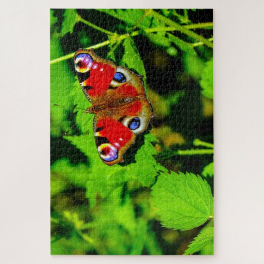 Peacock Butterfly. Legpuzzel (Verticaal)