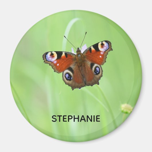 Peacock Butterfly Magneet (Voorkant)