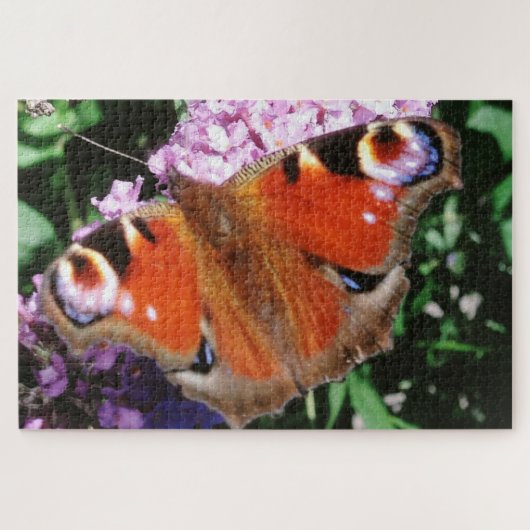 Peacock Butterfly on Mauve Buddleia 20 x 30 1014 Legpuzzel (Horizontaal)