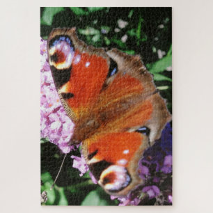 Peacock Butterfly on Mauve Buddleia 20 x 30 1014 Legpuzzel