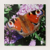 Peacock Butterfly on Mauve Buddleia Legpuzzel (Horizontaal)