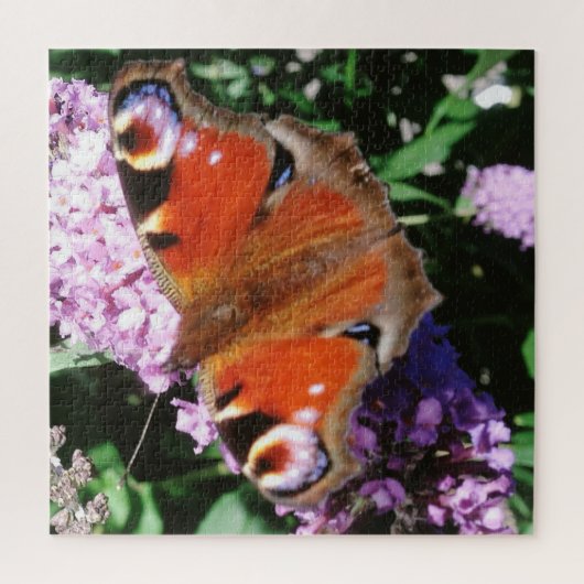 Peacock Butterfly on Mauve Buddleia Legpuzzel (Verticaal)