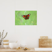 Peacock Butterfly Poster (Keuken)