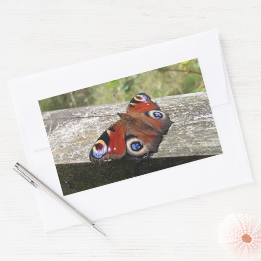 Peacock Butterfly Rechthoekige Sticker (Envelop)