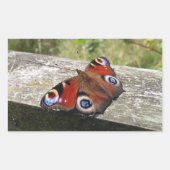 Peacock Butterfly Rechthoekige Sticker (Voorkant)
