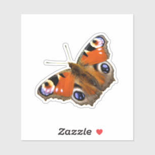 Peacock Butterfly Sticker