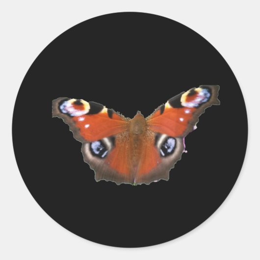 Peacock Butterfly van KABFA Ronde Sticker (Voorkant)