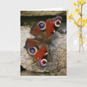 Peacock Butterfly, Verenigd Koninkrijk Kaart (Gele Bloem)